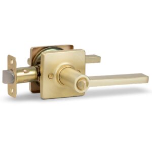 Mega Handles Maven Collection Door Lever